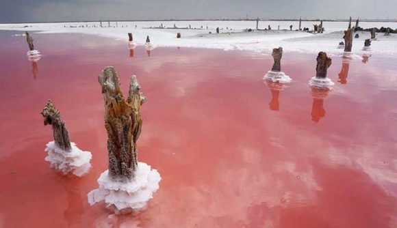У озера Сасык-Сиваш в Крыму откроют «соленый город»