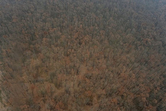 Вениамин Кондратьев с воздуха осмотрел пострадавшие от огня лесные массивы Кубани