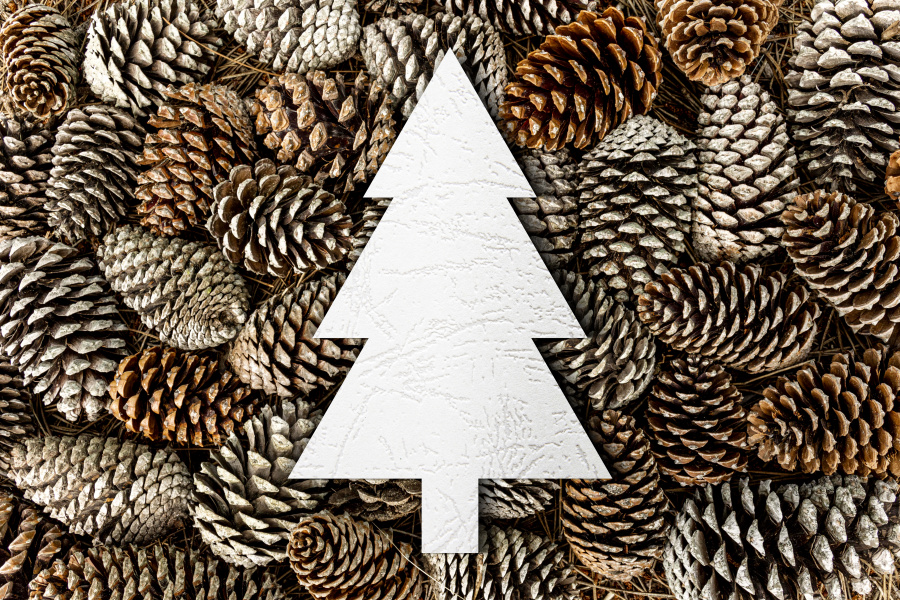 Кубанская зима и секреты безопасности