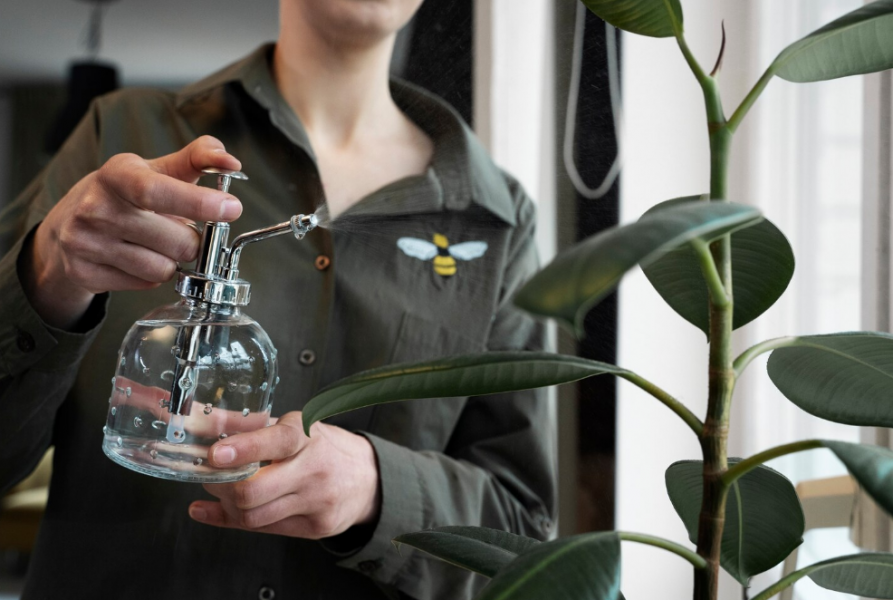 Ирина Хузина — дендролог из Армавира