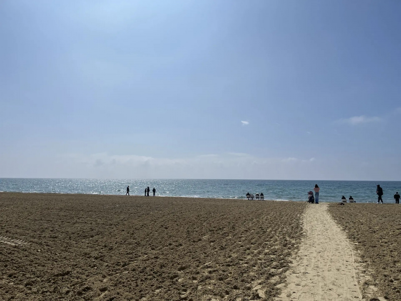 Вениамин Кондратьев: Эксперимент по отсыпке песка на тестовом участке в селе Витязево в Анапе показал свою эффективность