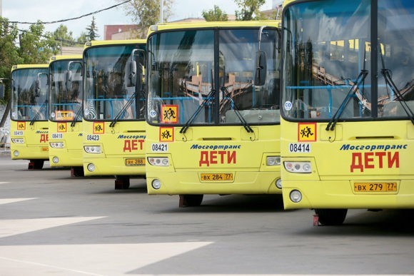 Утверждены новые требования к организации детских автобусных перевозок