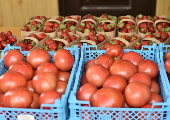 На Кубани фермеры ежедневно реализуют порядка 70 тонн овощей