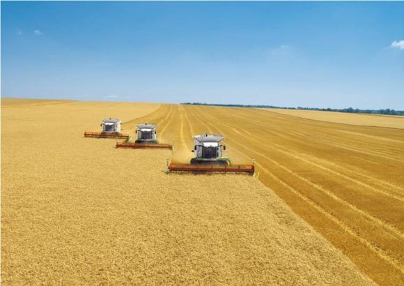 Аграрии Кубани уже собрали более двух миллионов тонн зерна