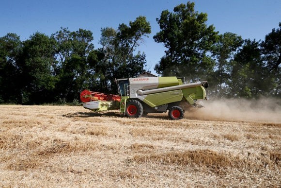 В Краснодарском крае урожай зерновых культур превысил 6,4 млн тонн
