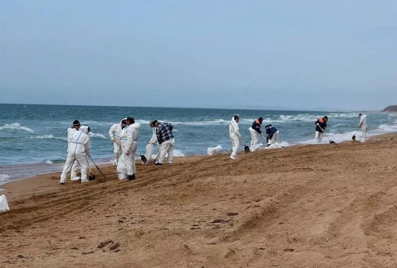 Жители Кубани участвуют в премии «Россия - страна возможностей»