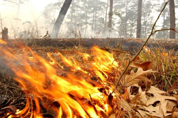 Самый высокий класс пожарной опасности объявлен на Кубани