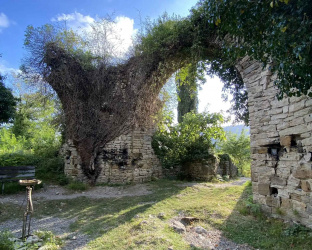 В Сочи разработали новый маршрут для познавательного туризма В Сочи разработали новый маршрут для познавательного туризма