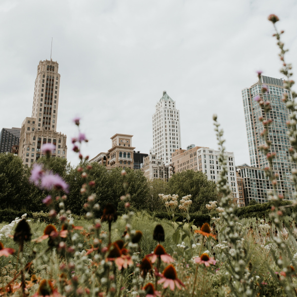 Кубанские парки и скверы: как жители влияют на облик своих городов
