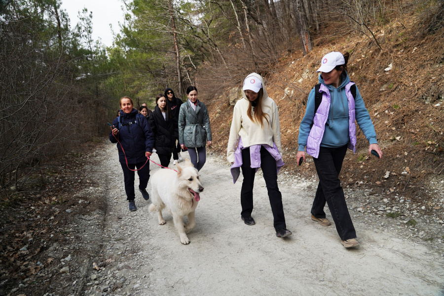 Краснодарский край открывает приём заявок на туристические субсидии
