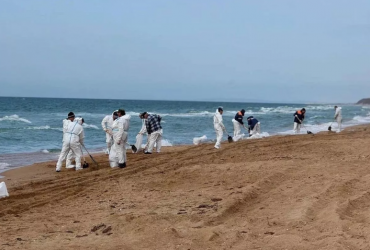 Жители Кубани участвуют в премии «Россия - страна возможностей» Жители Кубани участвуют в премии «Россия - страна возможностей»