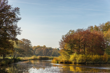 По народному календарю сегодня Павел Ледостав