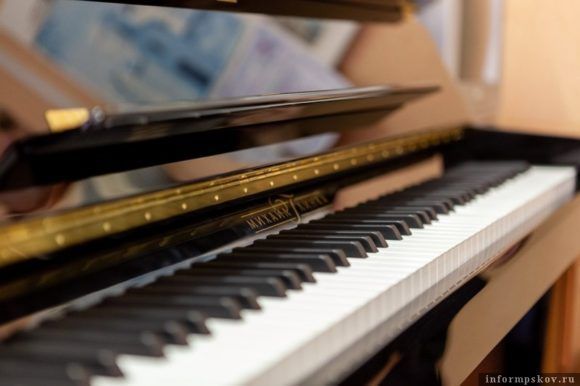 В кубанские образовательные учреждения культуры поступят музыкальные инструменты