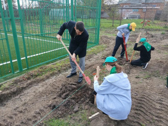 «Сохраним лес»: на Кубани высадили 8 тысяч деревьев