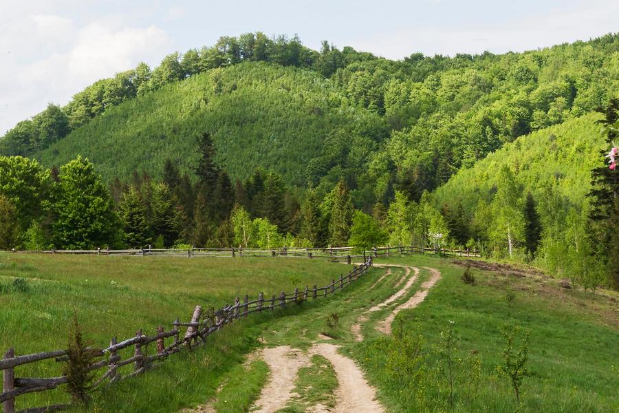 По народному календарю сегодня день Герасима Грачевника По народному календарю сегодня день Герасима Грачевника
