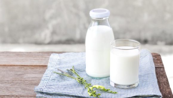 Кубань стала лидером по приросту производства молока в первом квартале 2020 года