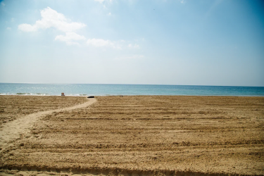 Ученый КубГУ Татьяна Любимова: И следов мазута не будет через 2–3 года 