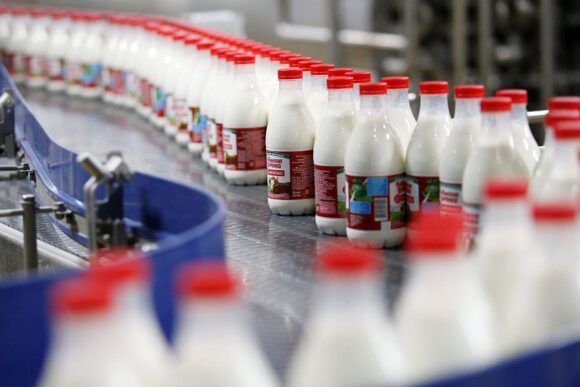 Более 90% молочной продукции в школы края поставляют местные производители