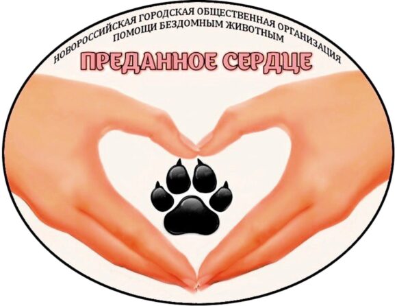 В Новороссийске пройдет благотворительная выставка животных