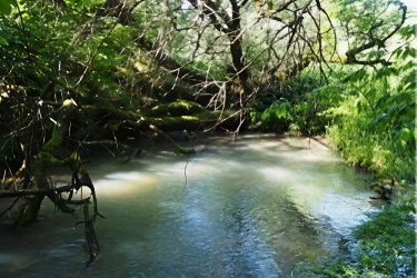 Государственный природный заказник «Лабинский» получил статус особо охраняемой природной территории Государственный природный заказник «Лабинский» получил статус особо охраняемой природной территории