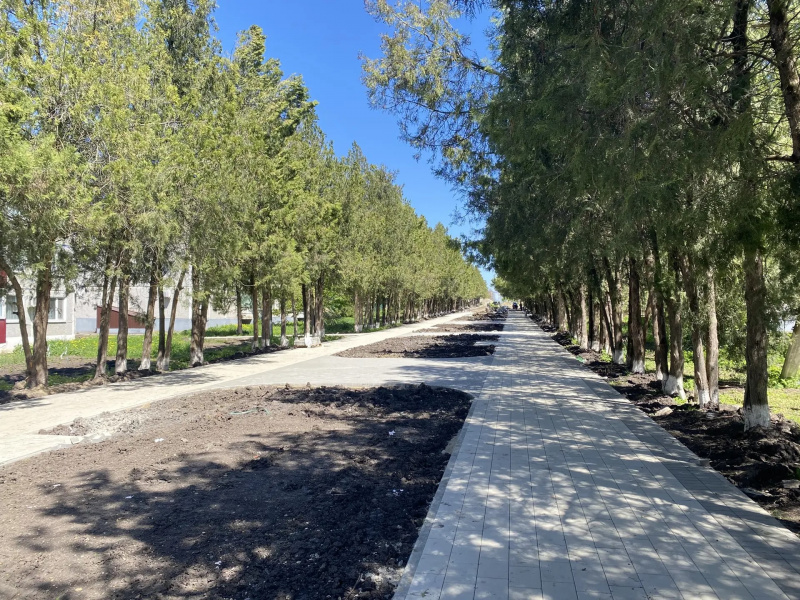 В Гулькевичском районе по нацпроекту благоустраивают аллею 35-летия Победы