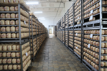Кубанский производитель расширяет линейку молочной продукции Кубанский производитель расширяет линейку молочной продукции