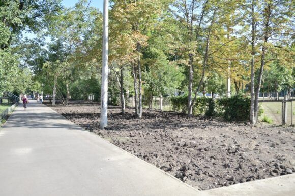 В Краснодаре в сентябре стартуют работы по озеленению бульвара «Приозёрный»