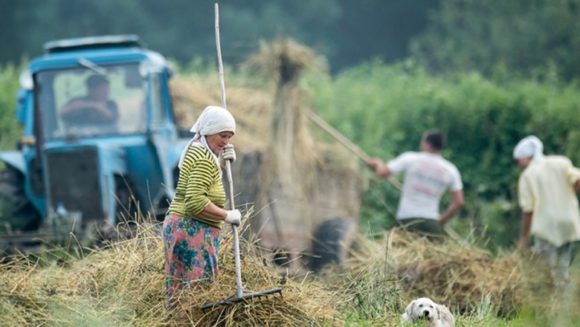 Сельским женщинам сократят рабочую неделю