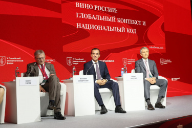 На Кубани вложили свыше 5 млрд рублей в виноделие