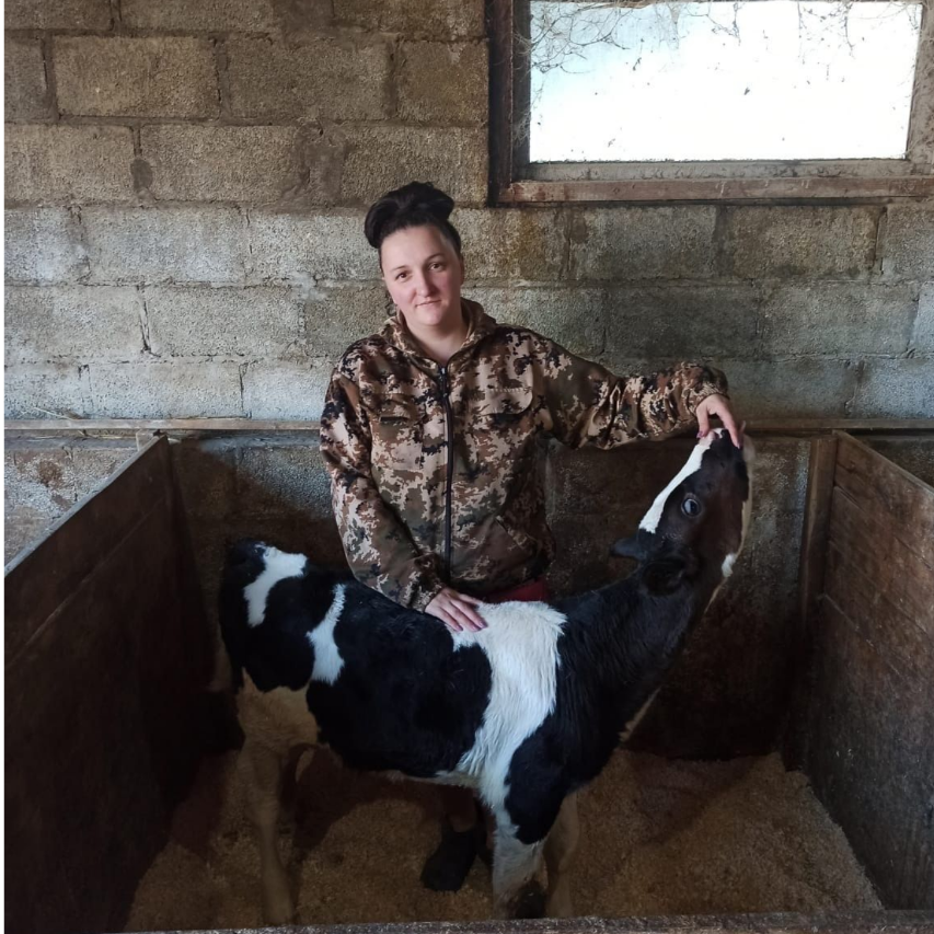 Мария Соколова – разводит крупный рогатый скот в Гулькевичском районе