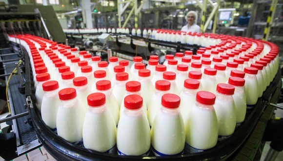 Кубань стала лидером в России по производству питьевого молока