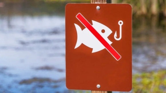 Рыбалка у берегов Крыма запрещена до весны