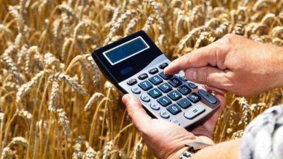 Аграрии Крыма получат гранты на развитие малых форм хозяйствования