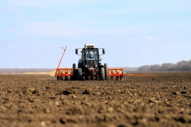 На Кубани начался сев сахарной свёклы