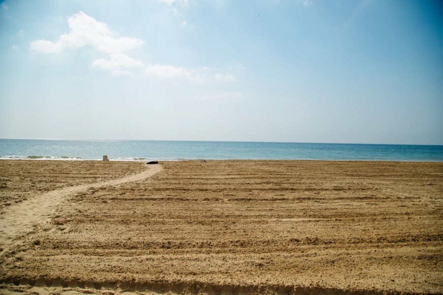 Ученый КубГУ Татьяна Любимова: И следов мазута не будет через 2–3 года 