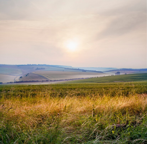 КОНКУРС в «Алло, село!»