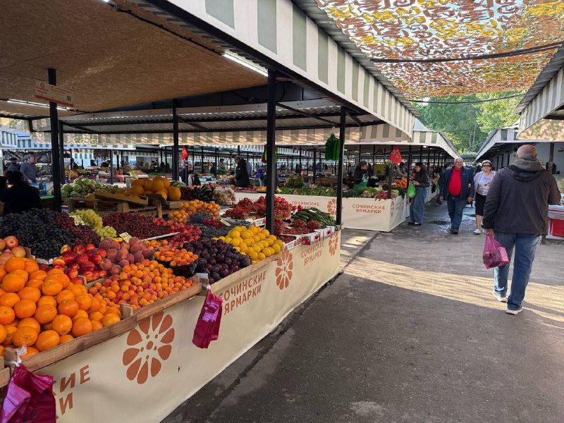 С начала 2025 года на рынках и ярмарках Кубани реализовали продукции на 187 миллиардов рублей