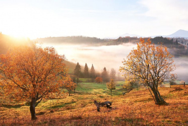 По народному календарю сегодня Ефимий Осенний