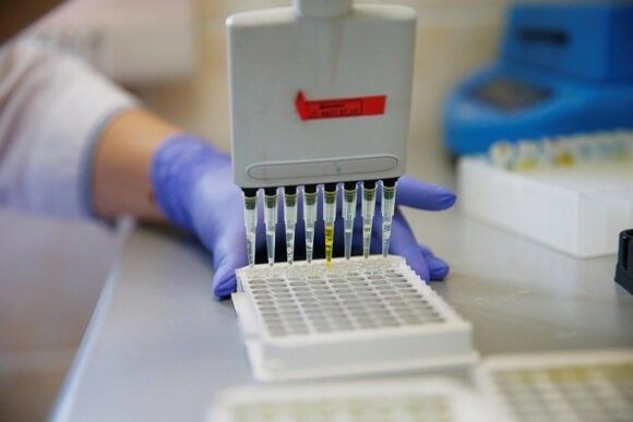 На Кубани за сутки выявлено 92 случая заболевания коронавирусом