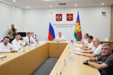 Губернатор Кубани попросил правительство увеличить поставки бензина в регион