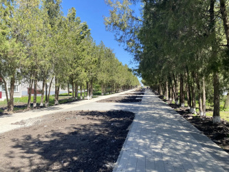 В Гулькевичском районе по нацпроекту благоустраивают аллею 35-летия Победы