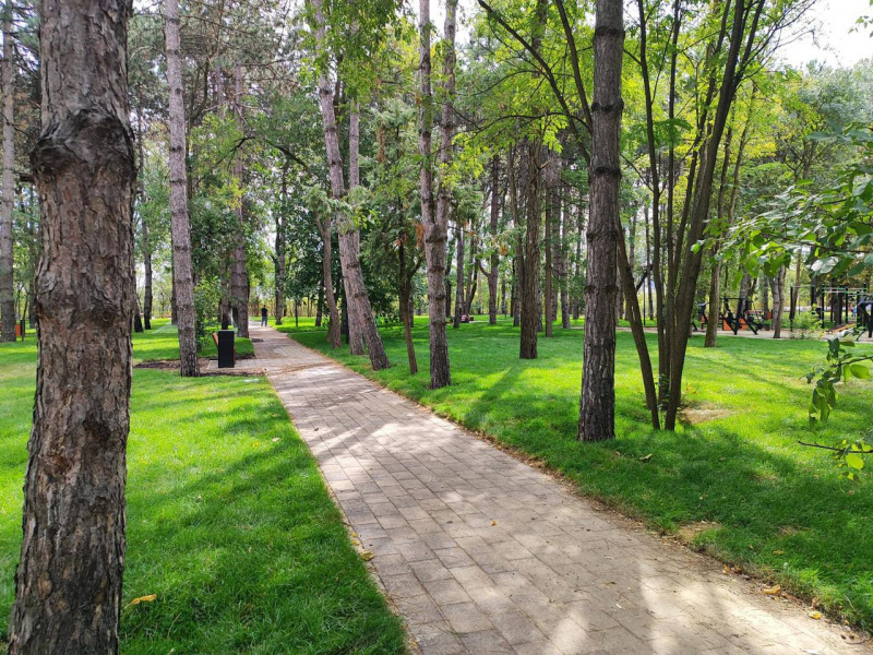 Жители Кубани могут выбрать территории для благоустройства