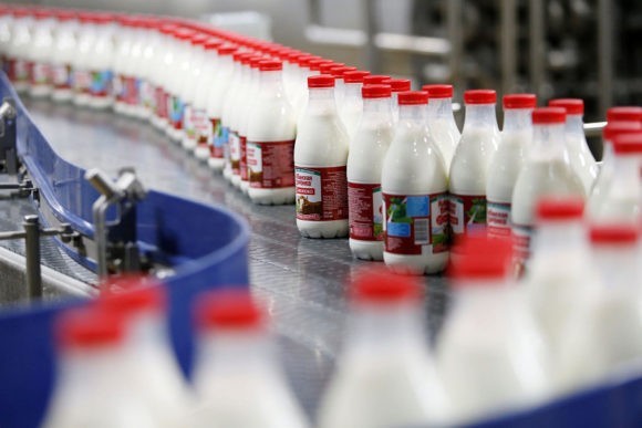 Кубань в числе регионов-лидеров страны по абсолютному приросту производства молока
