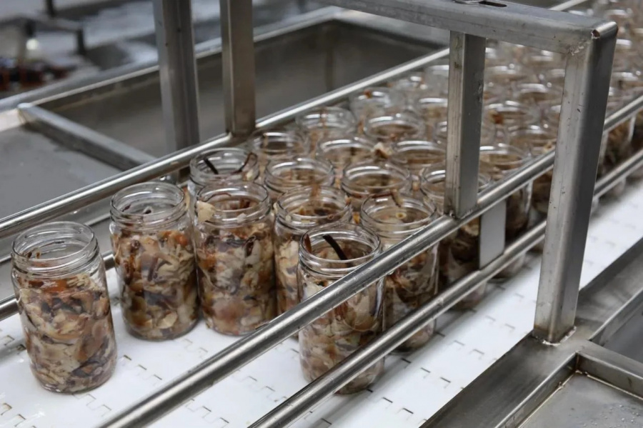 В Усть-Лабинске запустили вторую очередь консервного завода