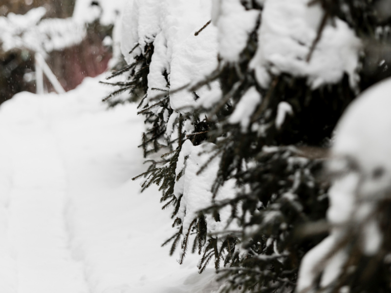 Снег и гололёд: на Кубани продлили экстренное предупреждение