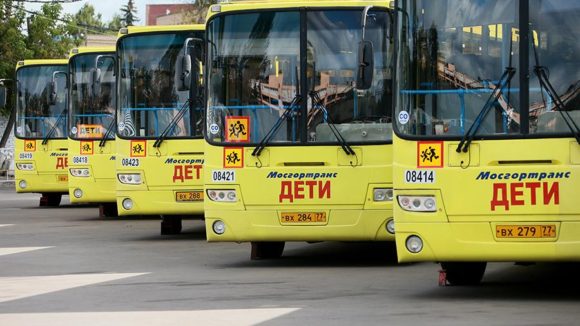 За последние пять лет на Кубани обновили 90% школьных автобусов