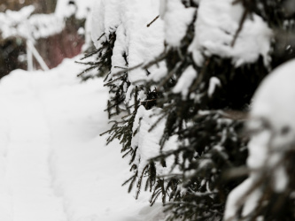 Снег и гололёд: на Кубани продлили экстренное предупреждение