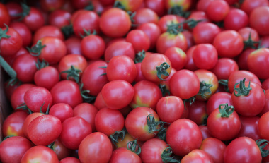 В Краснодаре на ул. Восточно-Кругликовской снова откроется ярмарка выходного дня