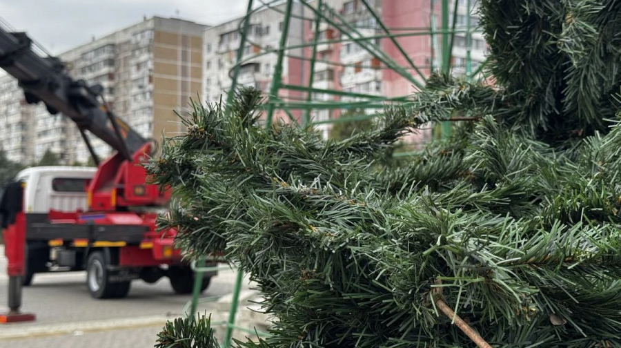 В Краснодаре установили первую городскую ёлку