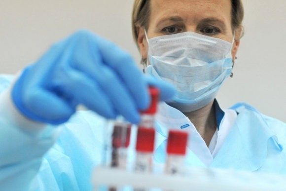 В Краснодарском крае за сутки выявлено 146 случаев коронавируса